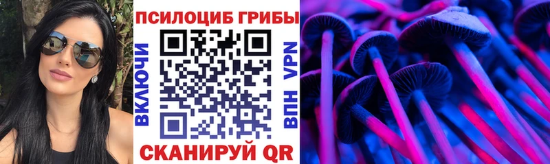 Галлюциногенные грибы Cubensis  Купить где  Красноуральск 